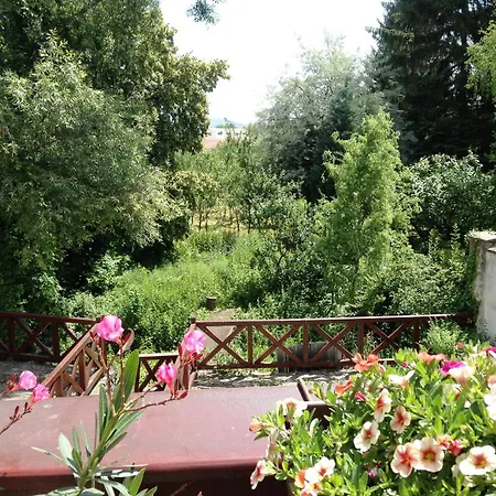 Anka Sucanska 3* Čachtice